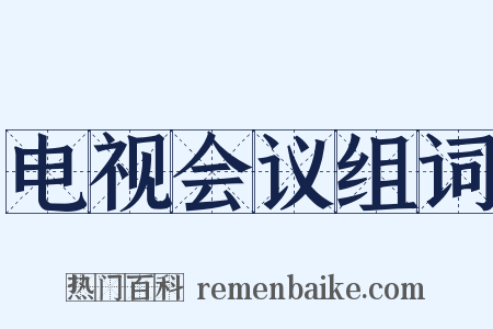 电视会议组词是什么意思的图片
